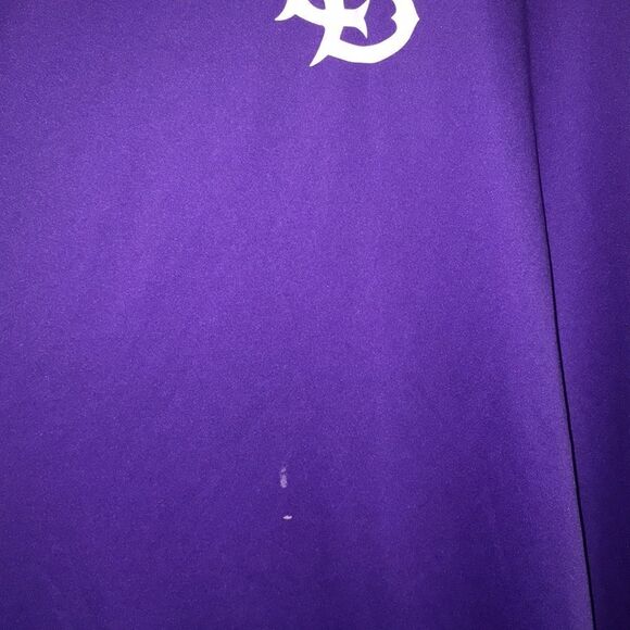 Tigers Baseball TEAM JERSEY T SHIRT L - Picture 2 of 2